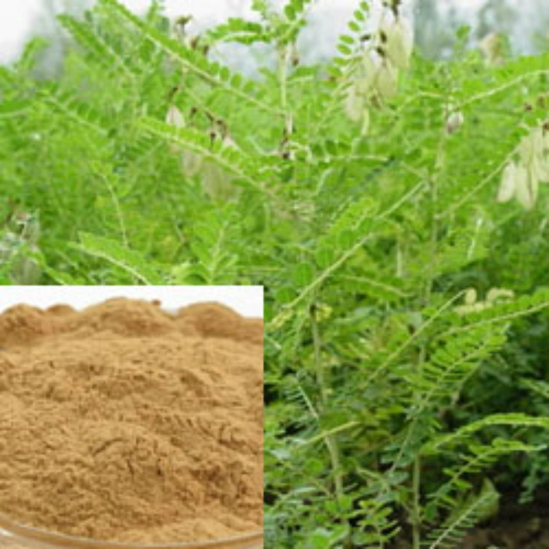 Botanical Extract Astragalus Extract Polysaccharide 20%, 40%, 50%, 80%, 90% Test by UV Astrangaloside 0.3%, 0.5% Test by HPLC Hypotensive Activity