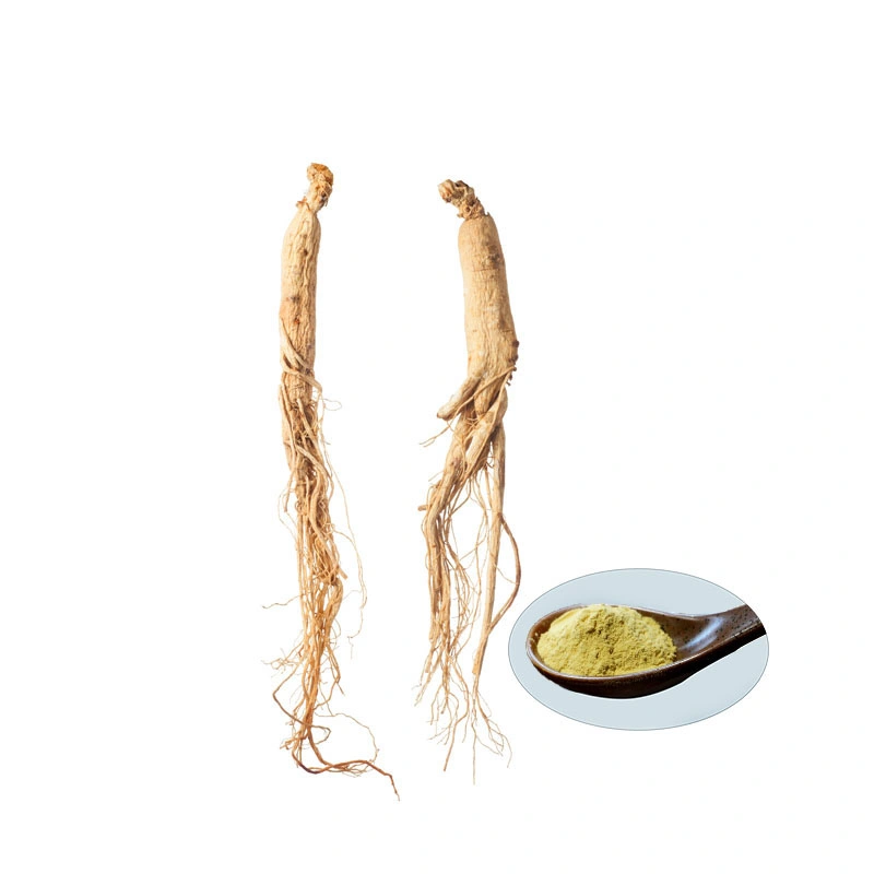 100% Natural Siberian Ginseng Extract Powder to Strengthen Immune System