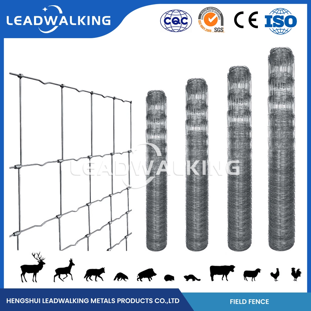 Leadwalking Chain Link Fence Poultry OEM Customized Farm Mesh Fencing Manufacturers China 50m/Roll Fence Length Cattle Fencing Wire