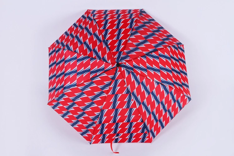 OEM and ODM Adjustable Polyester 3 Fold Print Small Double Layer Umbrella with Side Panel