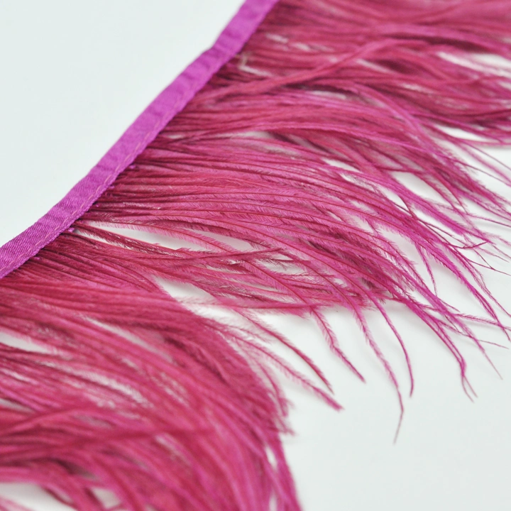 New Arrival Fashion Feather Trimming Tassel Fringe