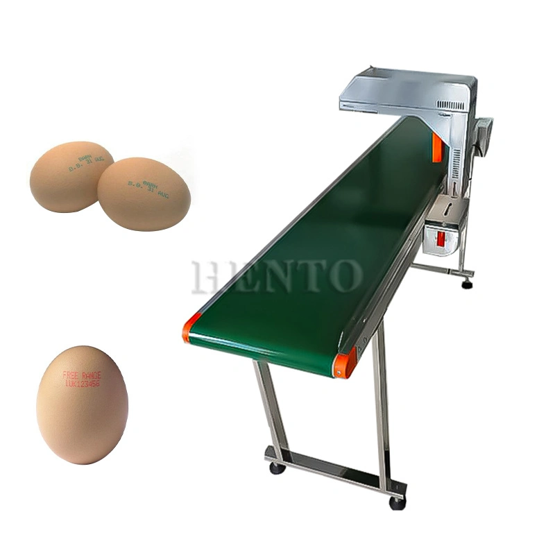 HENTO Factory Automatic Egg Date Coding Printing Machine / Egg Inkjet Printer