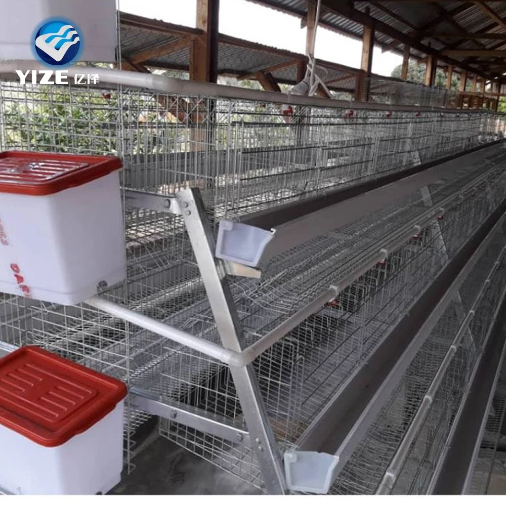 Layer Chicken Cage with Automatic Poultry Farm Feeding System