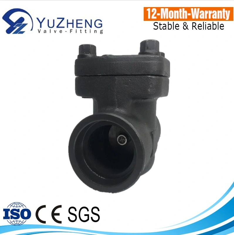 Forged Steel Industrial Use150-800lb A182 ASTM Check Valve