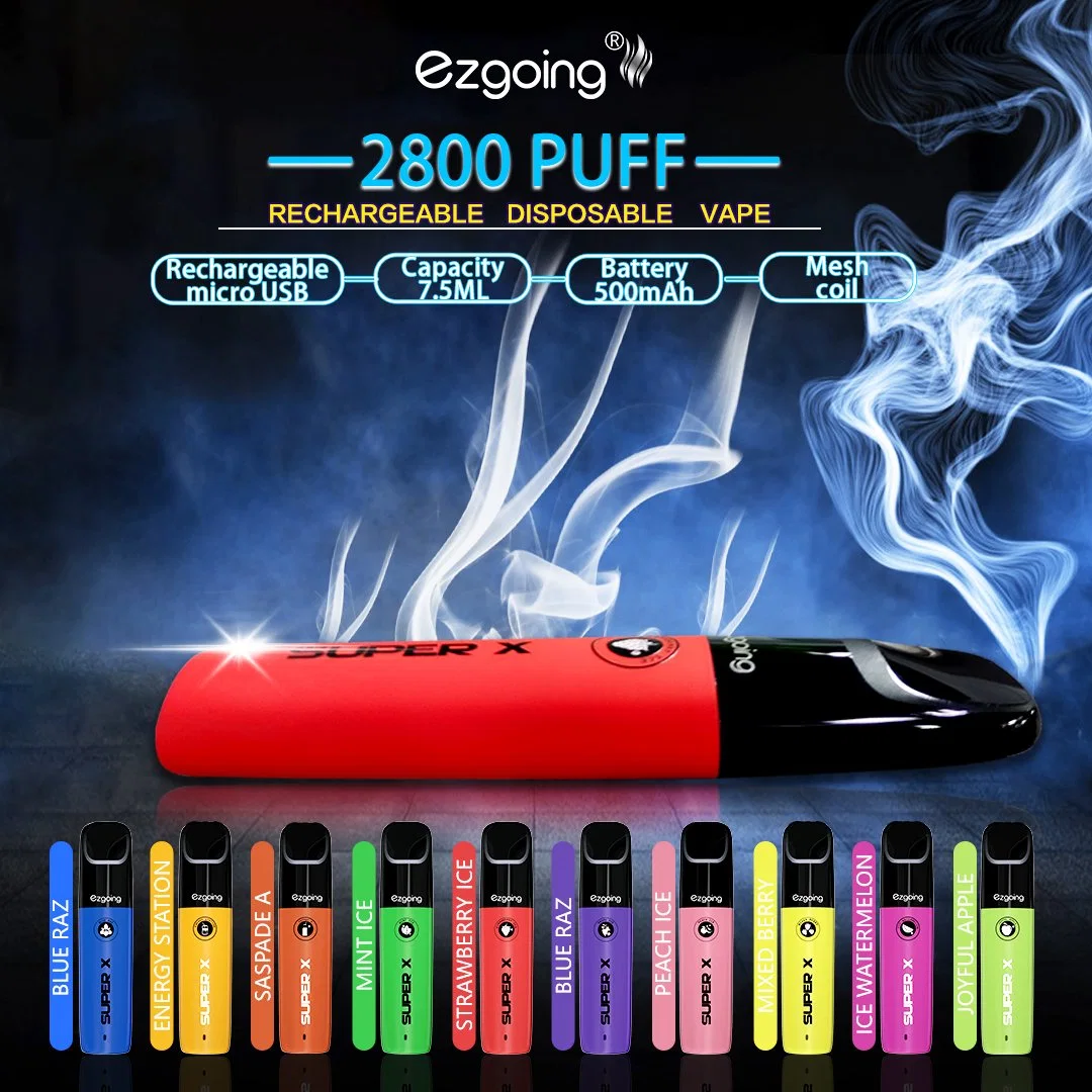 Wholesale Disposable Electronic Cigarette Ezgoing Brand 2800 Puffs Vape Pen OEM Factory Price