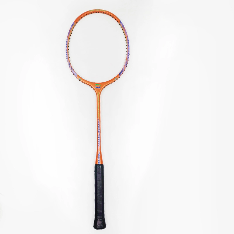 Wholesale/Supplier Supply Training Badminton Racket for Professional Player for Export Badminton Racket