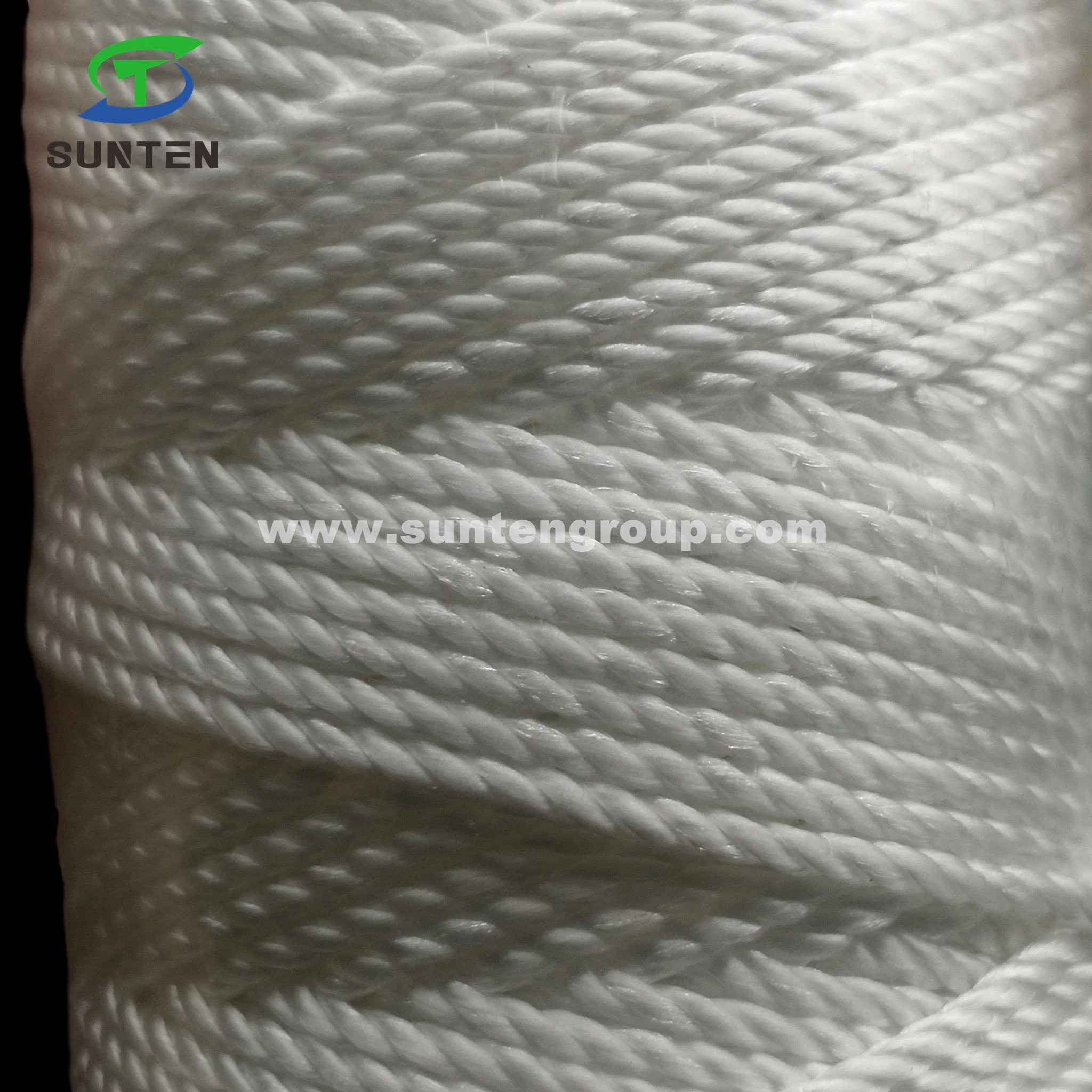 High Tenacity White PA/PE/PP/Polyester/Nylon Plastic Twisted/Braided/Braid/Baler/Thread/Packing Line/Fishing Net Line by Spool/Reel/Bobbin/Hank