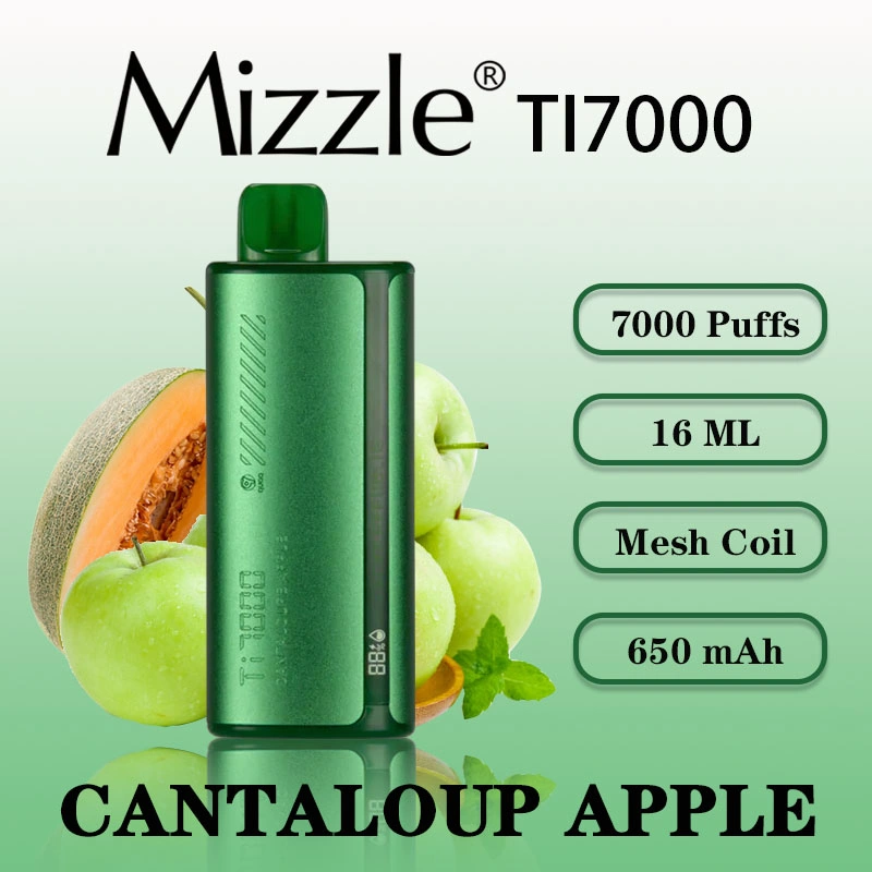 2023 OEM E Cigarette Funky Republic Ti7000 7000 Puffs Vaporizer Screen Display Vaporizer Disposable/Chargeable Vape Pen