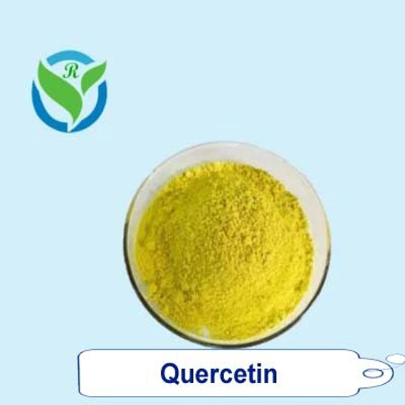 Sophora Japonica Extract 98% Purity Quercetin Powder CAS 117-39-5