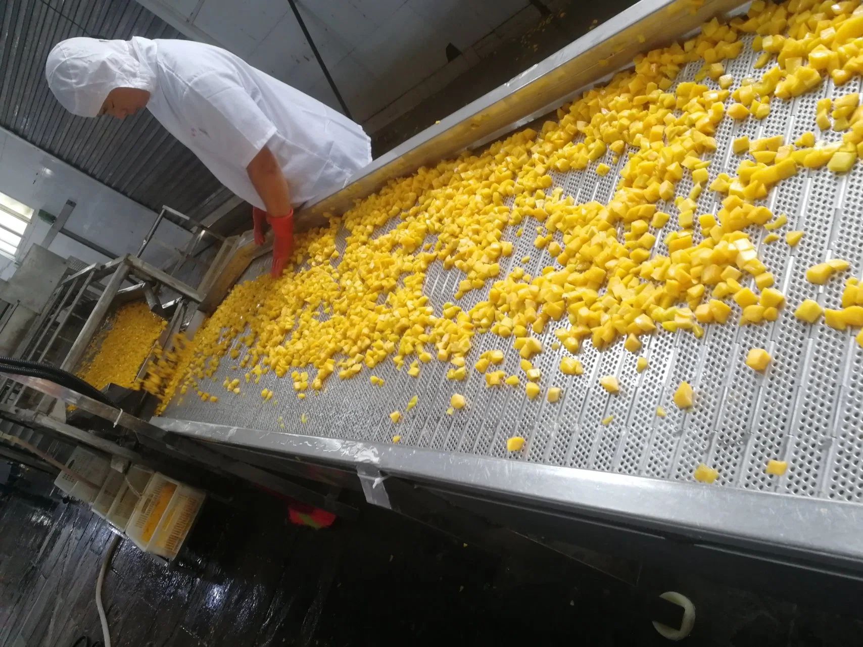 Conserves de fruits en conserve les moitiés de pêche jaune dans le Lieutenant de sirop dans de qualité supérieure