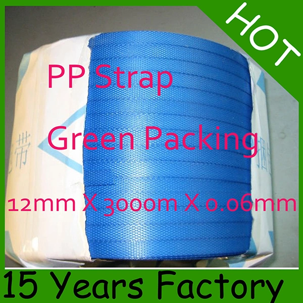 Hot Sale Plastic Recycle 12mm PP Strapping