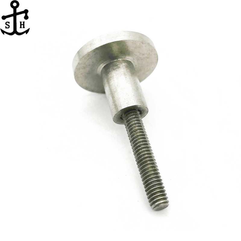 Stainless Steel Fasteners Non-Standard Ss 304 Screw Combination (Rivet and Stud Made in China