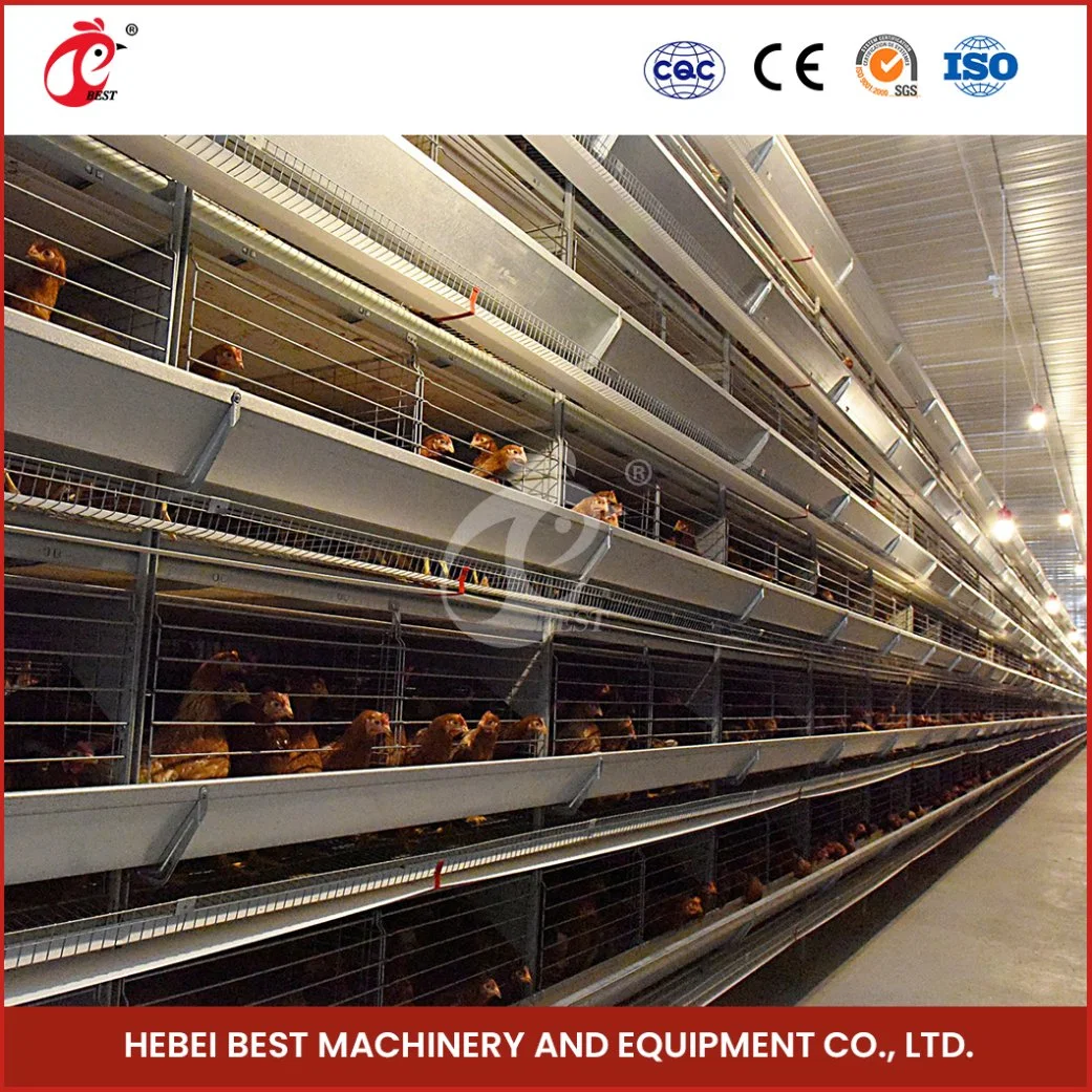 Bestchickencage H Type Layer Cage China Metal Turkey Chicken Breeding Layer Cage Factory High-Quality Applicable Building Material Shops H Chicken Layers Cage