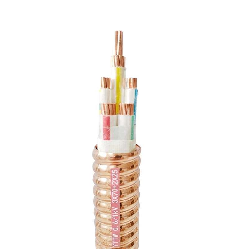 Electric Wire Manufacturing China Copper Power Cable Mineral Insulated Extension Thermocouple Cable