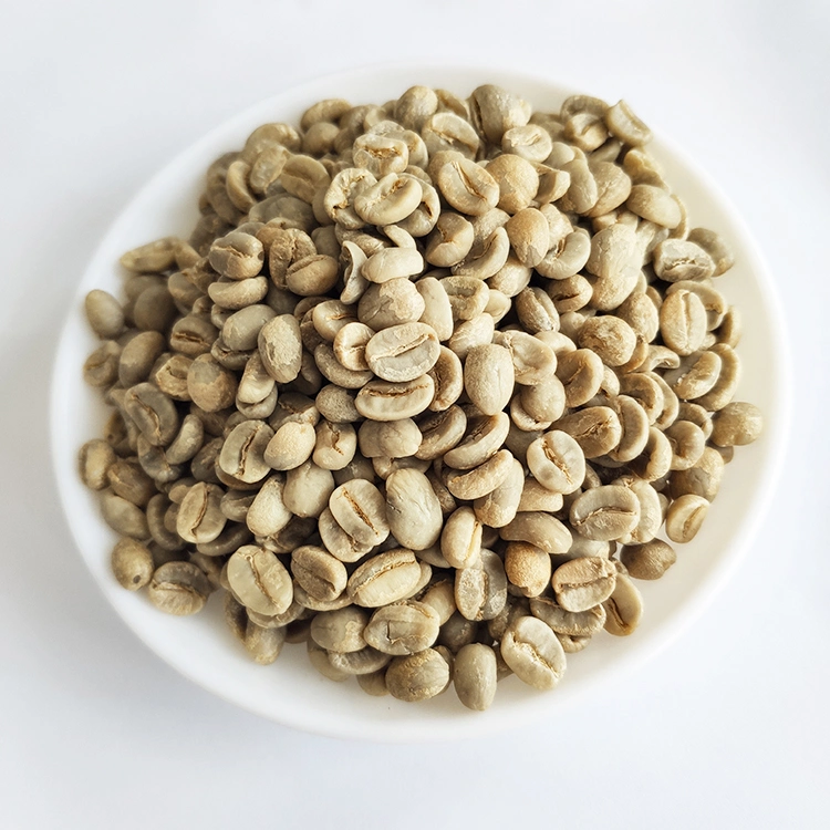 Export High quality/High cost performance Arabica Green Coffee Beans