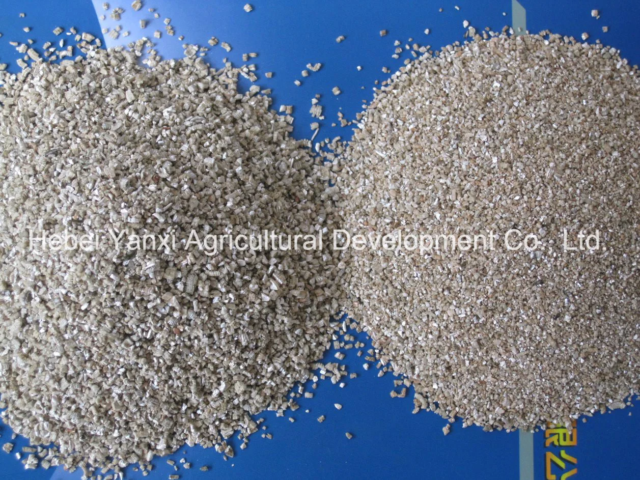 Export Soilless Matrix Golden Silvery Expaned Vermiculite and Raw Vermiculite