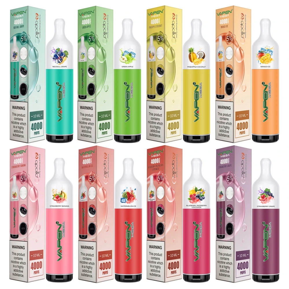 Rechargeable Disposable/Chargeable Vape Pen 12ml 4000 Puffs Various Flavour Mini Electronic Cigarettes