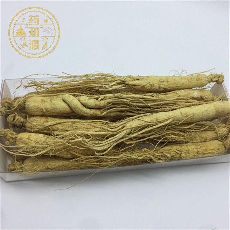 Ren Shen chino de la Medicina Natural Raíz de Ginseng secos a granel