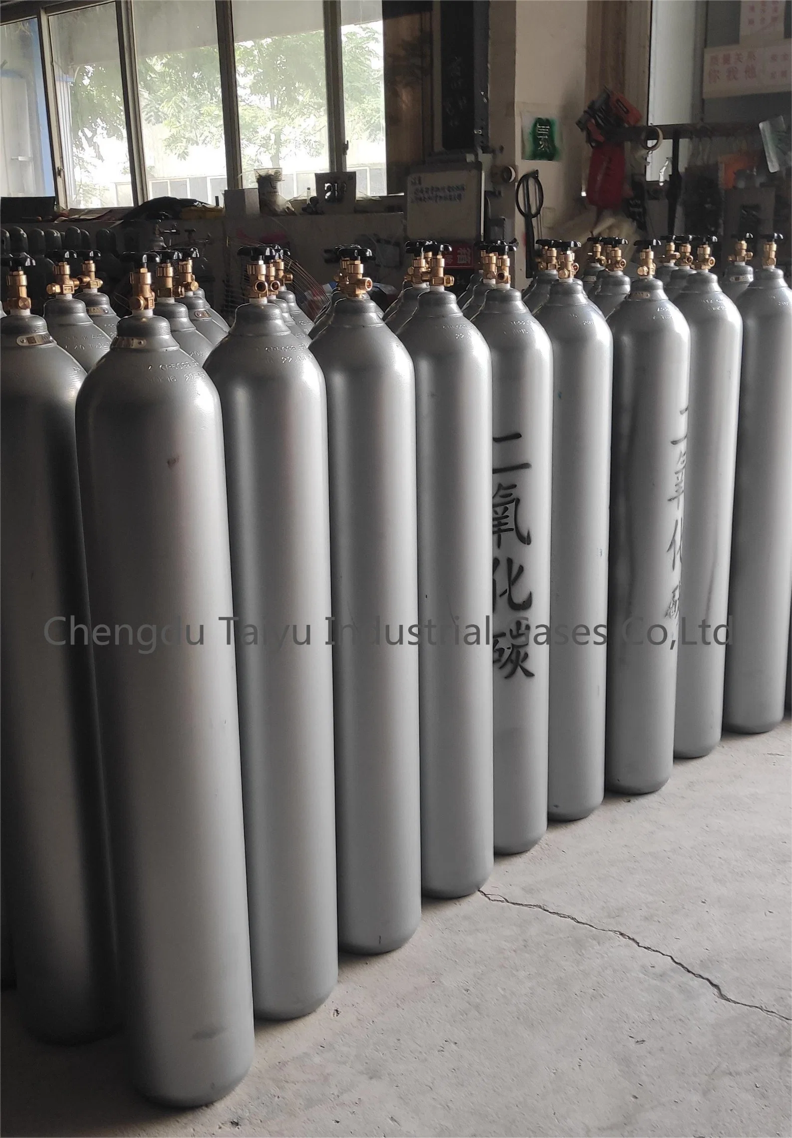 Best Price 99.99% Liquid Carbon Dioxide CO2 Gas with 47L Cylinder