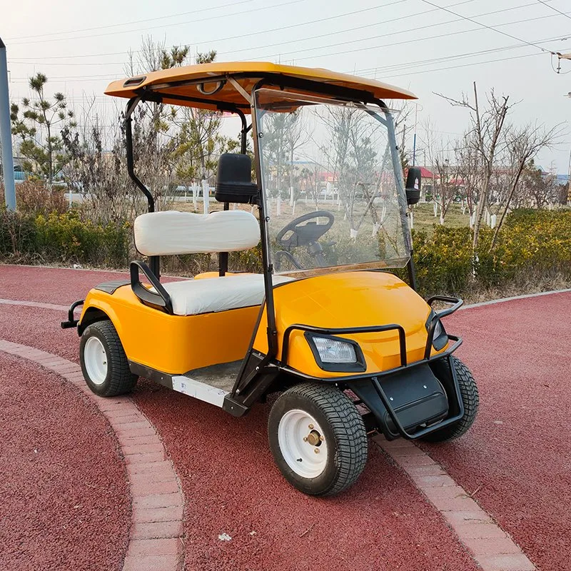 Factory Cheap Price 2 Seats 2 4 6 Seater Electric Golf Sightseeing Car