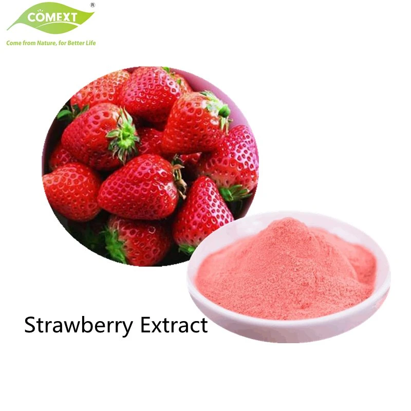 Comext Wholesale/Supplier Bulk Price Spray Dried Water Soluble Strawberry Juice Powder Extract