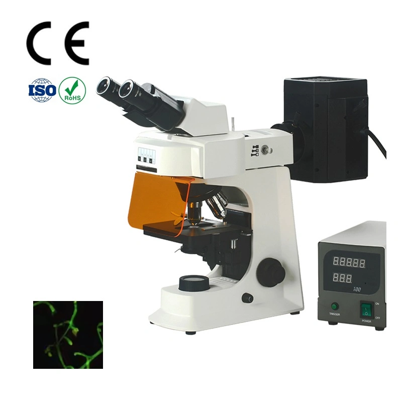 Smart-FL2 Binocular Biologic Digital Electronical Fluorescence Microscope for Lab