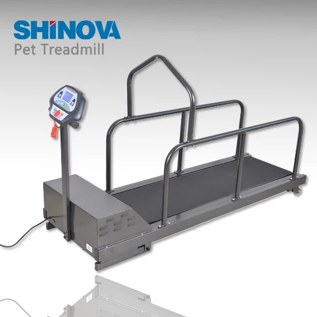 Big Pet Treadmill (Up to 110KG) (TM-180F)