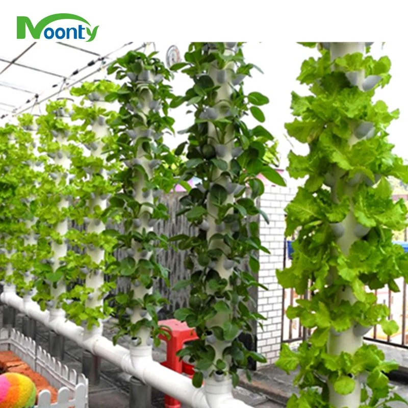 Vertical Aeroponics Farming with Tower Farms