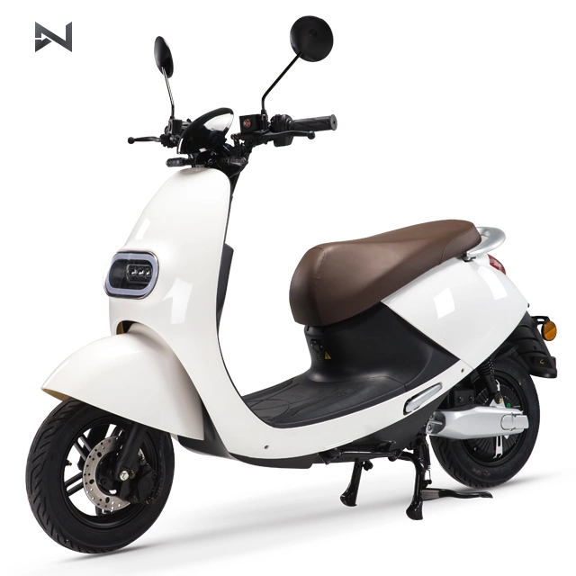 2 Wheel Adult Electric Motorcycle