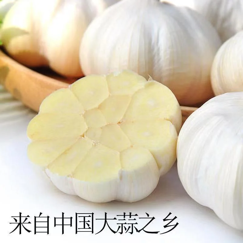 Food Grade Pure White Garlic