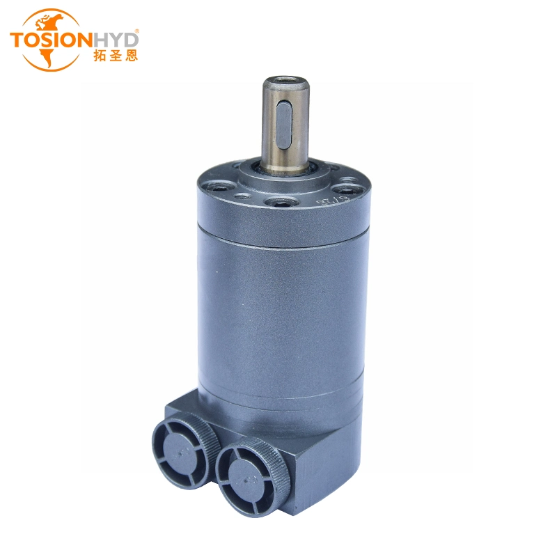 Bmm/Omm Bmr/OMR BMP/Omp Bmh/Omh BMS/Oms Bmt/Omt Bmv/Omv Radial Piston Drive Wheel Oil Orbital Mini Hydraulic Motor with Eaton Sauer Danfoss Poclain Intermot