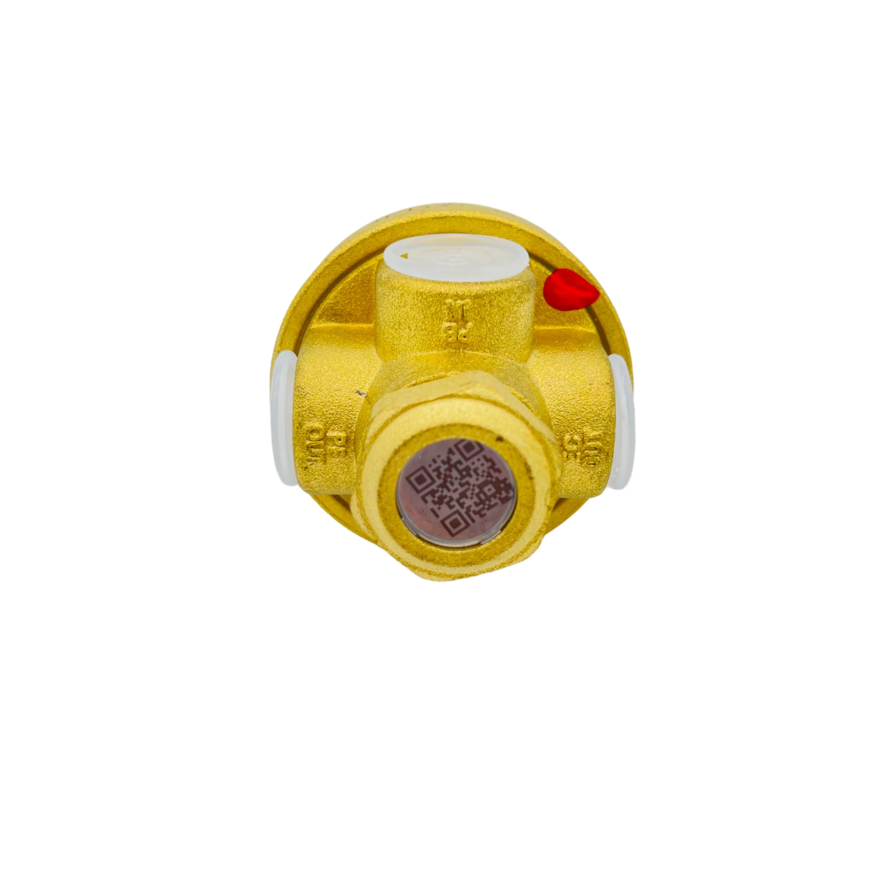 Feilun Dyz-06c Brass Low Temperature Cryogenic Combination Pressure Regulator