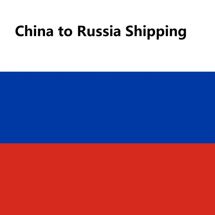 الشحن الشعبي شاحنة من الباب إلى الباب DDP الشحن من الصين لروسيا