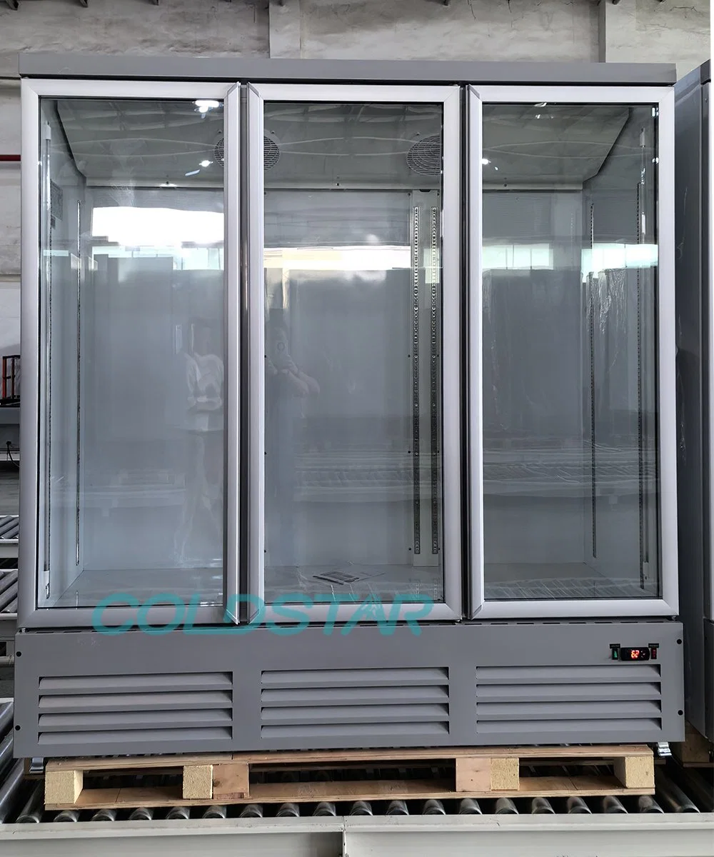 Vertical Freezer Glass Door Ice Cream Display Refrigerators and Freezers in Retail Supermarket