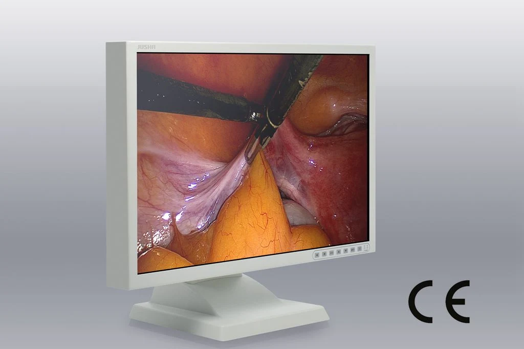 24-Inch 1920X1200 LCD Screen Ce Approved Endoscopy Monitor