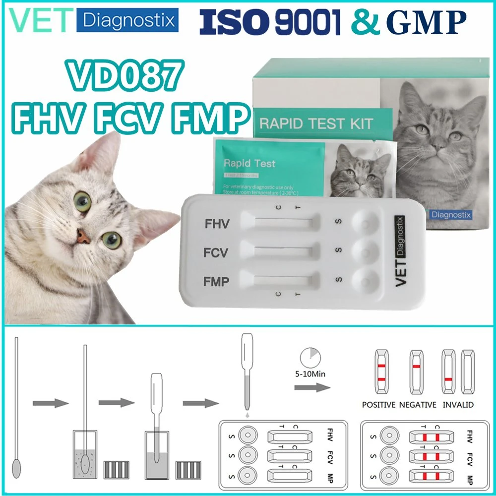 Cat Respiratory Disease Test Feline Fhv Fcv Fmp Triple Antigen Diagnostic Test