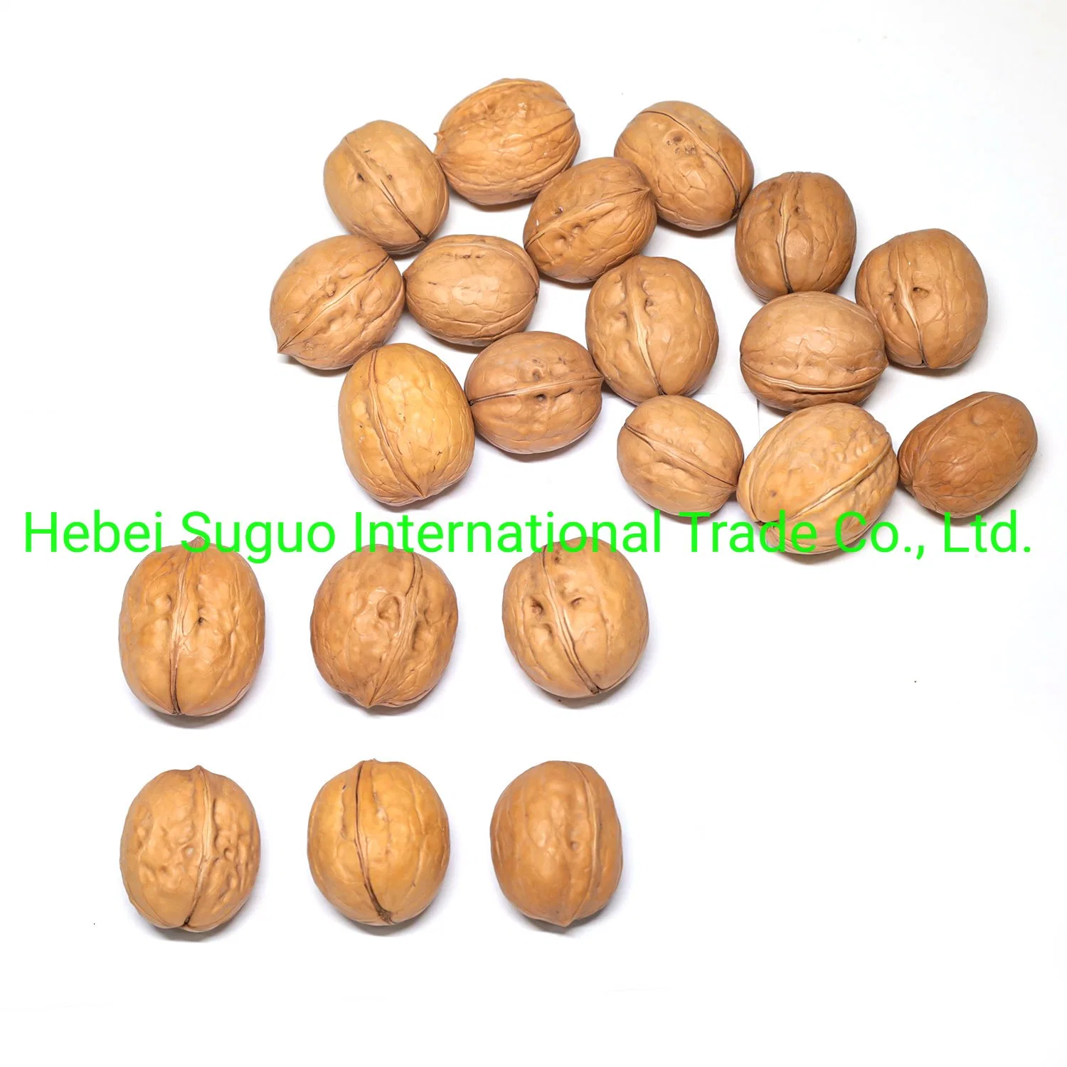 Chinese 185 33 Xiner Xinfeng Walnut and Walnut Kernels