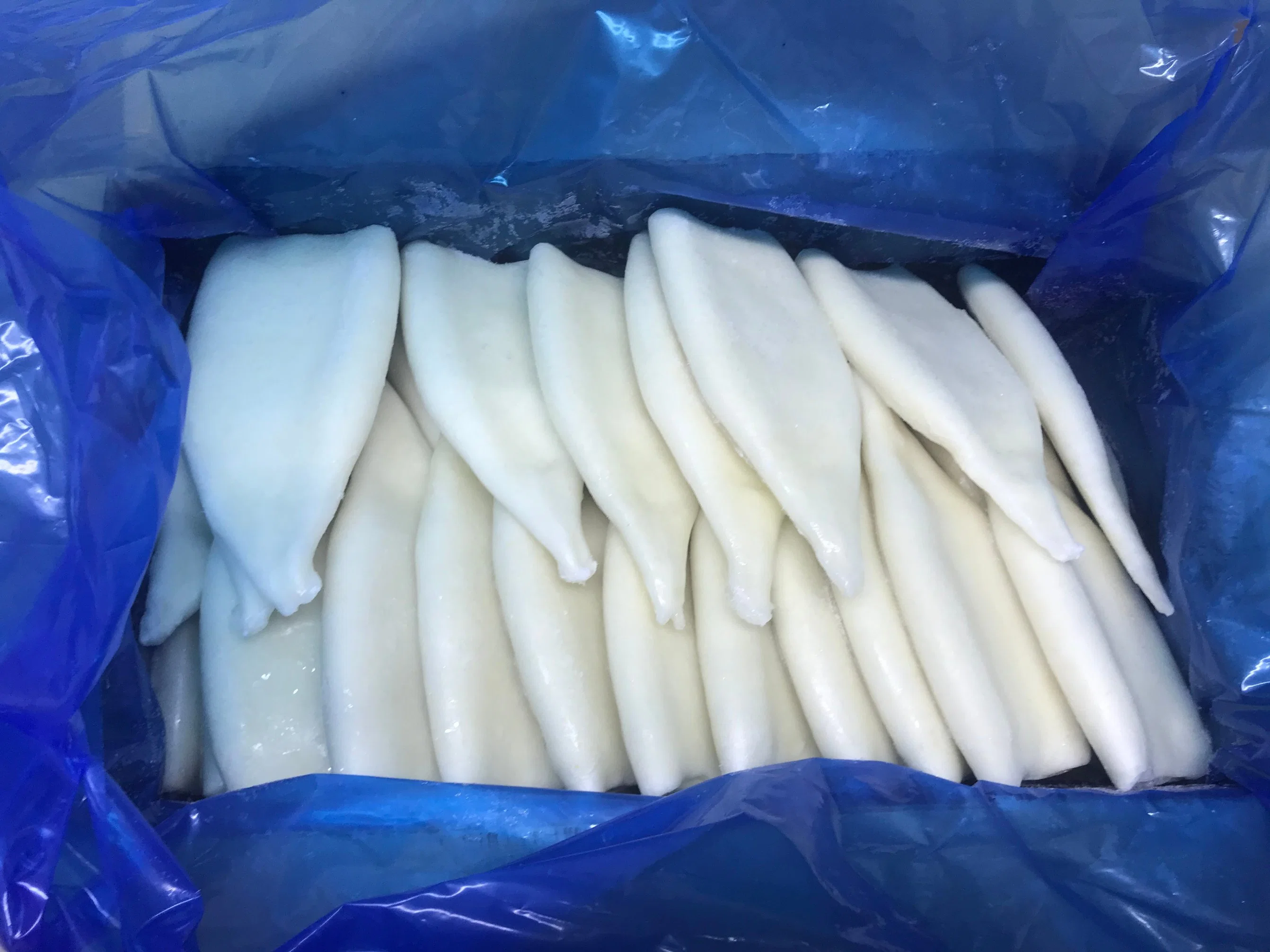 Italy Favorite Product Frozen Squid Tubes Gigas Squid Tube U5