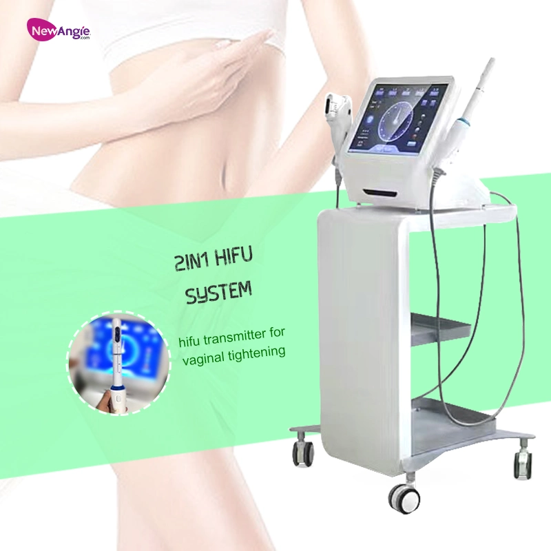 Portable Zheone Mini Hf Face Lift Vaginal Tightening Slimming 2 in 1 RF Hifus Machine Home Use