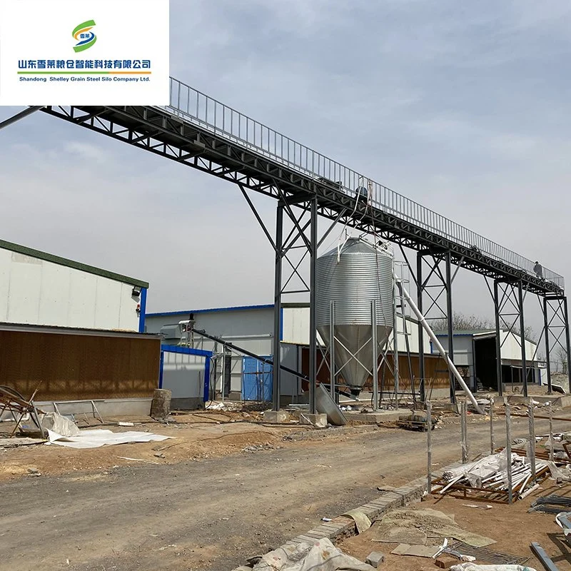 Shelley 12 Ton Grain Bin China Steel Feed Tower Silo Supplier 3t Small Size Chicken Poultry Farm Equipment Use Galvanized Grain Storage Steel Grain Silo