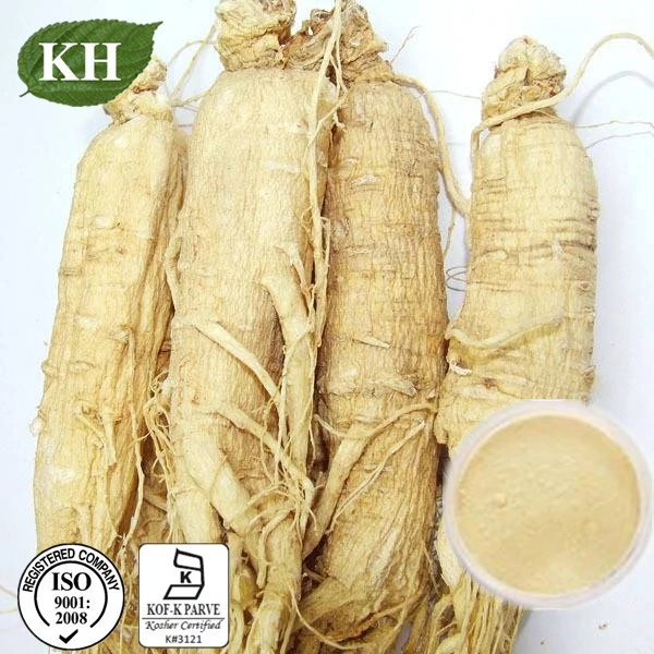 High Natural Ginsenosides 2%~80% American Ginseng Root Extract