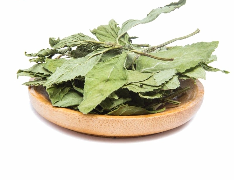 Wholesale/Supplier High quality/High cost performance  Dried Herbs and Spices Mint Leaves Tea Peppermint Bo He