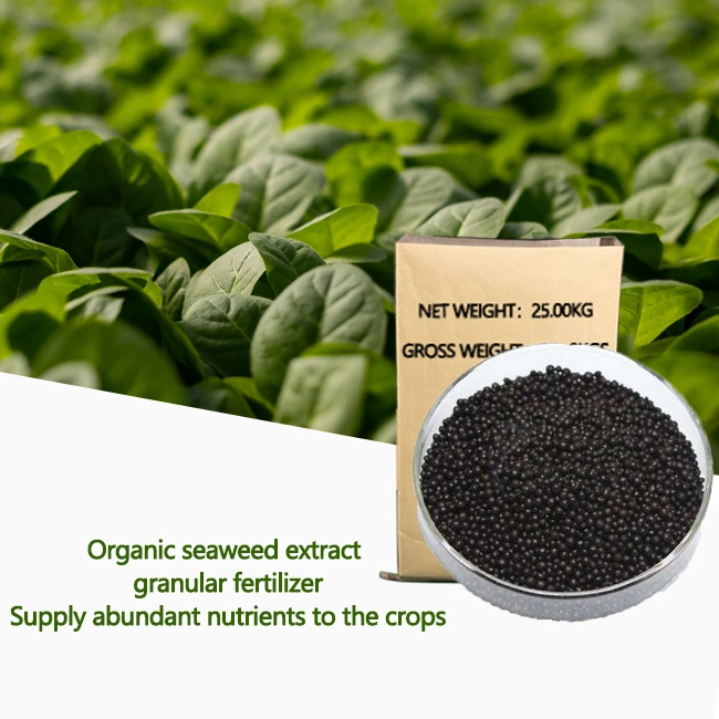 New product hot selling organic fertilizer water soluble granular suppliers