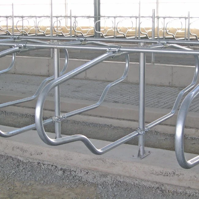 Heavy Duty Farming Equipment Galvanized Cattle Cow Headlocks