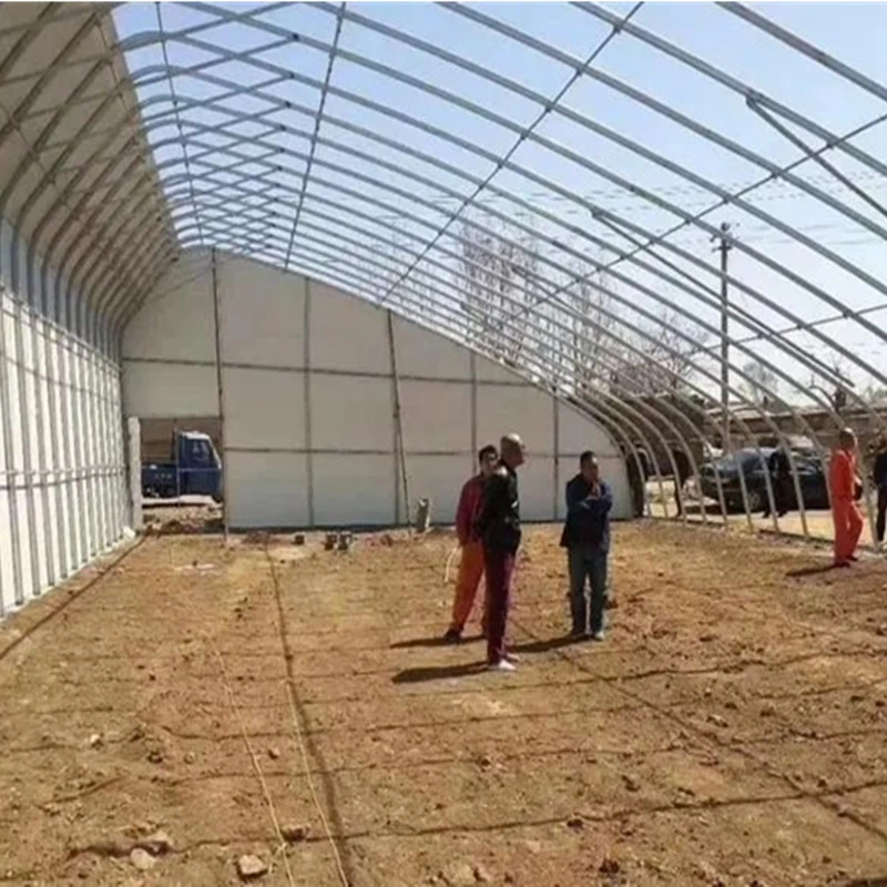 Customized Oval Tube Greenhouse for Vegetables, Fruits, Flowers, Pepper, and Tomato