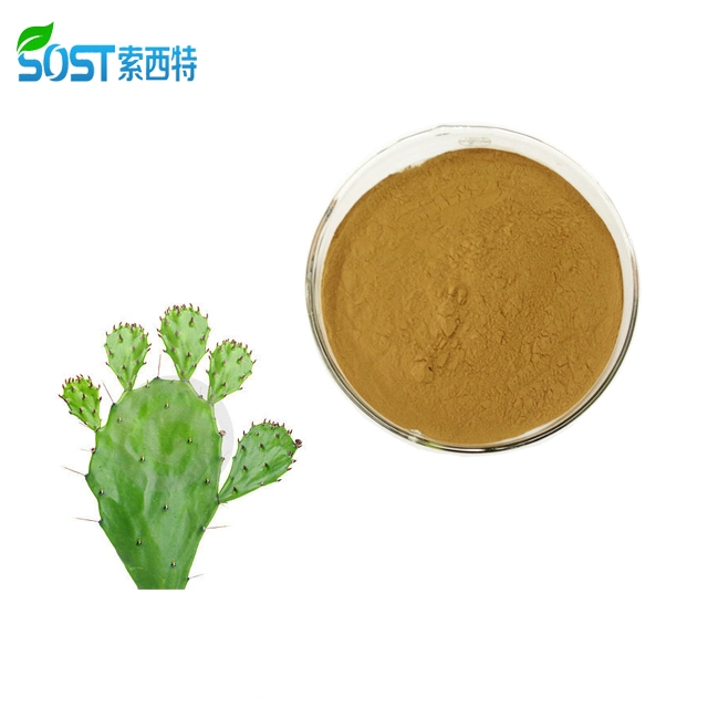SOST Supply Natural Plant Extract Opuntia Nopal Cactus Extract
