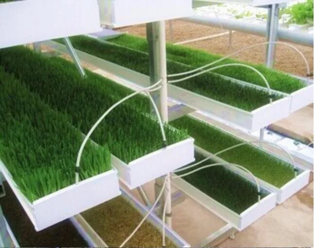 Vertical Hydroponics Fodder Grass Tray System PVC Trough Microgreen Nursury Fodder for Sheep Cattle Hydroponics Fodder Trays