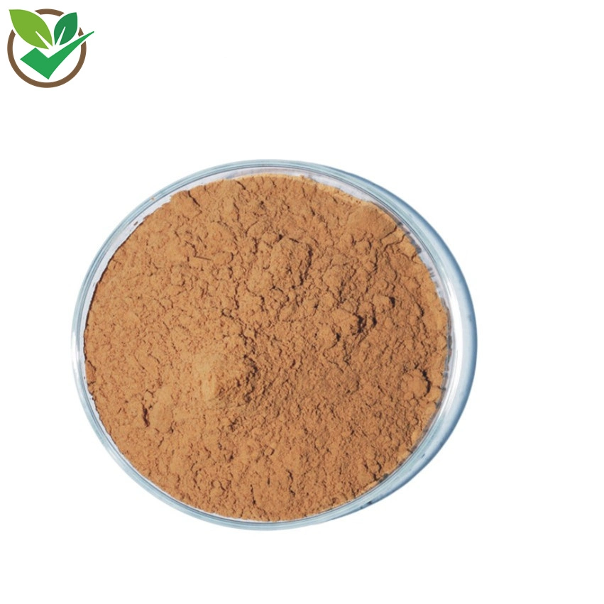 Factory Supply Fresh Hawthorn Juice Hawthorn Powder