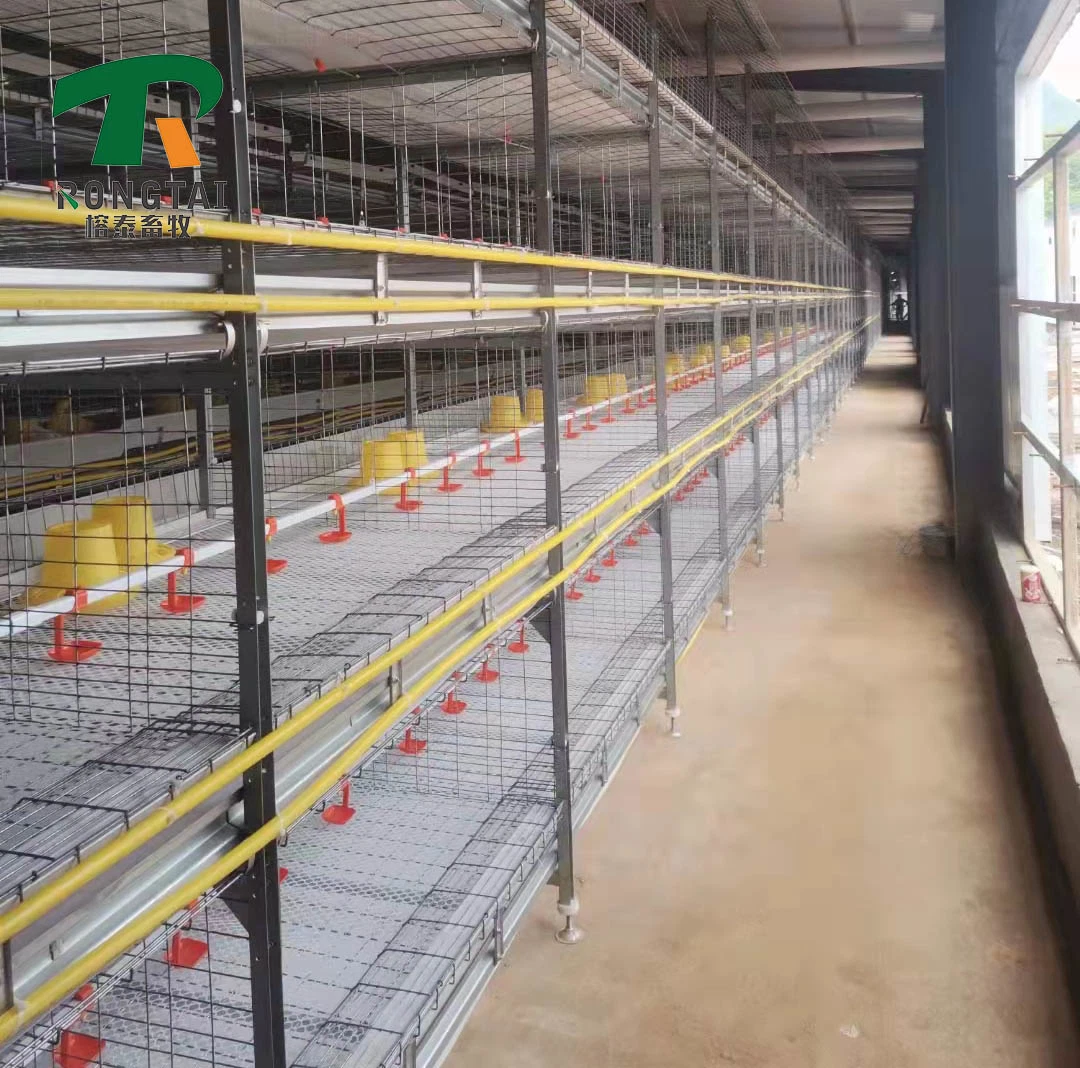 Automatische Hot-Verzinkte Multi-Tier H Rahmen Batterie Geflügel Farm / Landwirtschaft Ausrüstung für Hühnerschicht Käfig