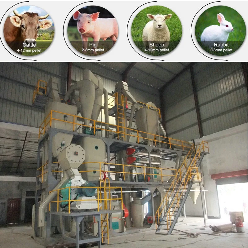 2-3t/H Complete Cattle Sheep Poultry Feed Pellet Production Line Processing Extruder Machine